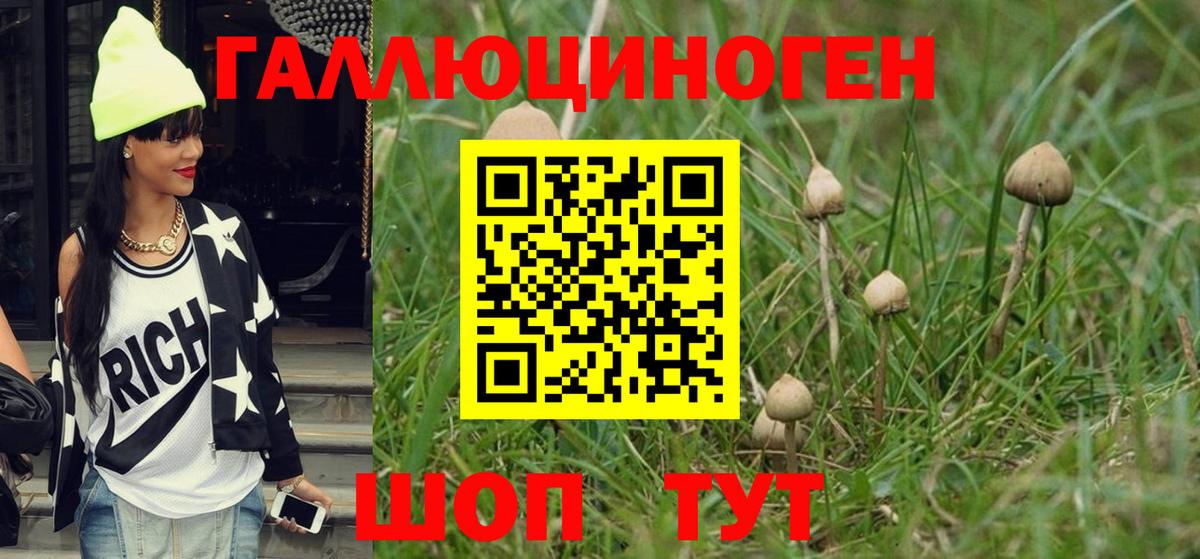 Галлюциногенные грибы Cubensis  Вход с VPN  Мончегорск 