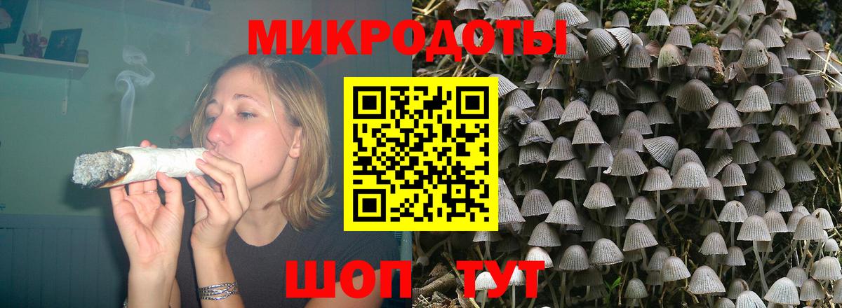 Псилоцибиновые грибы прущие грибы Мончегорск